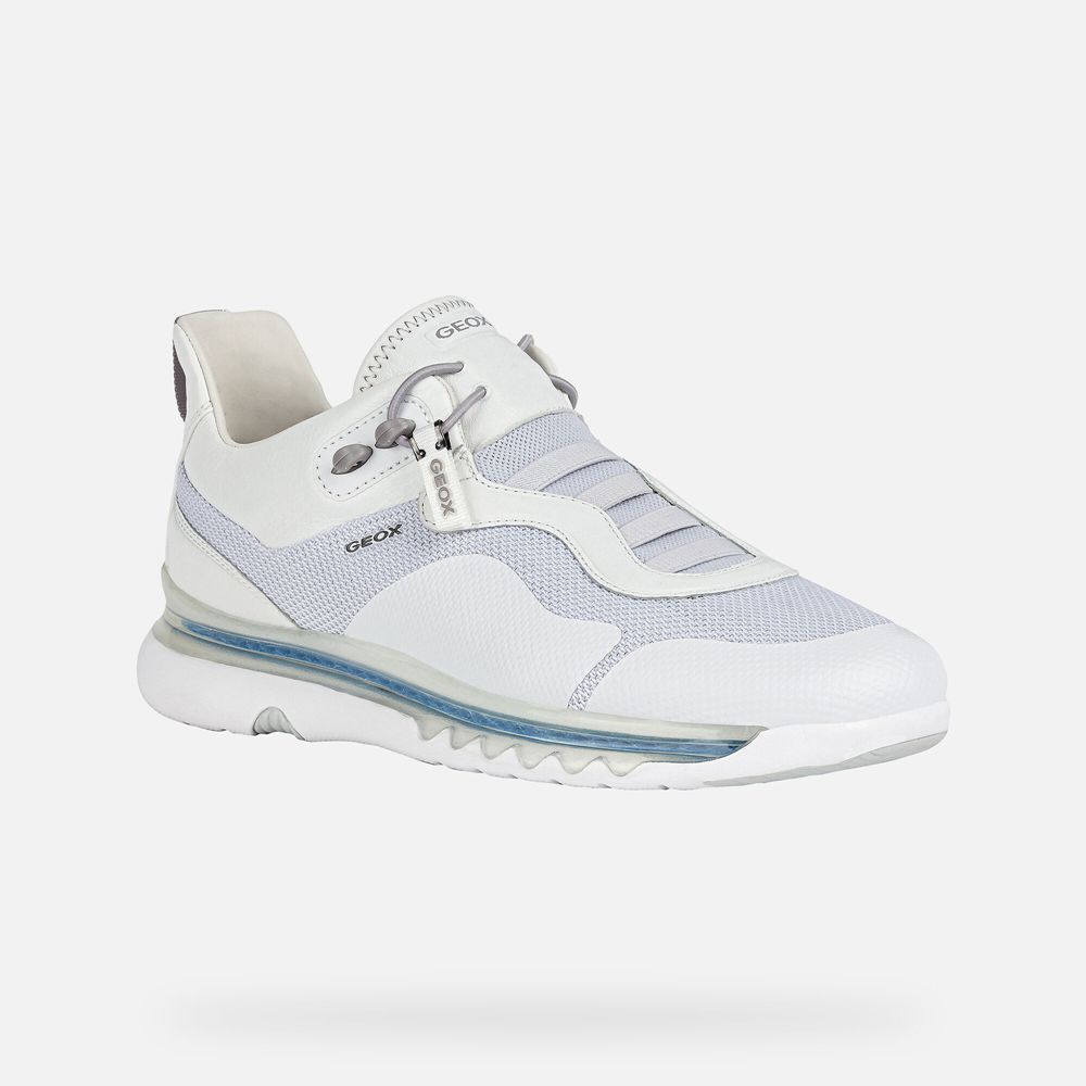 Tenis Geox Homem Branco - Levita - SKBOY2075